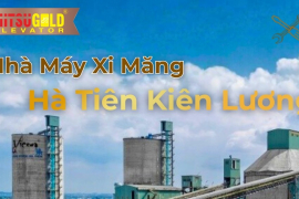 CÔNG TÁC BẢO TRÌ THANG MÁY TẠI XI MĂNG HÀ TIÊN & BỆNH VIỆN ĐA KHOA TRÀ VINH